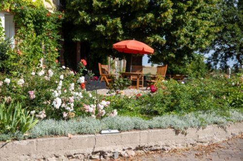 Landurlaub Auf Dem Mellenhof Apartment Funkenhagen ภายนอก รูปภาพ
